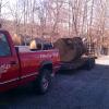 large tree removal hardy va